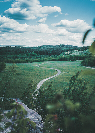 Rekultivovaná krajina v hájku